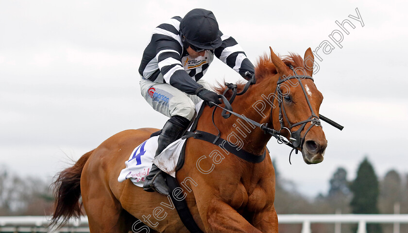 The-King-Of-Ryhope-0002 
 THE KING OF RYHOPE (Harry Skelton)
Ascot 17 Feb 2024 - Pic Steven Cargill / Racingfotos.com