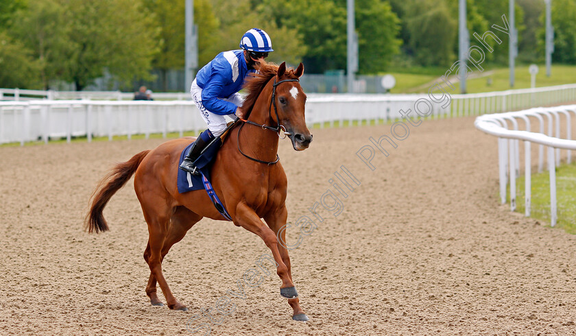 Samoot-0001 
 SAMOOT (Jim Crowley)
Wolverhampton 24 May 2021 - Pic Steven Cargill / Racingfotos.com