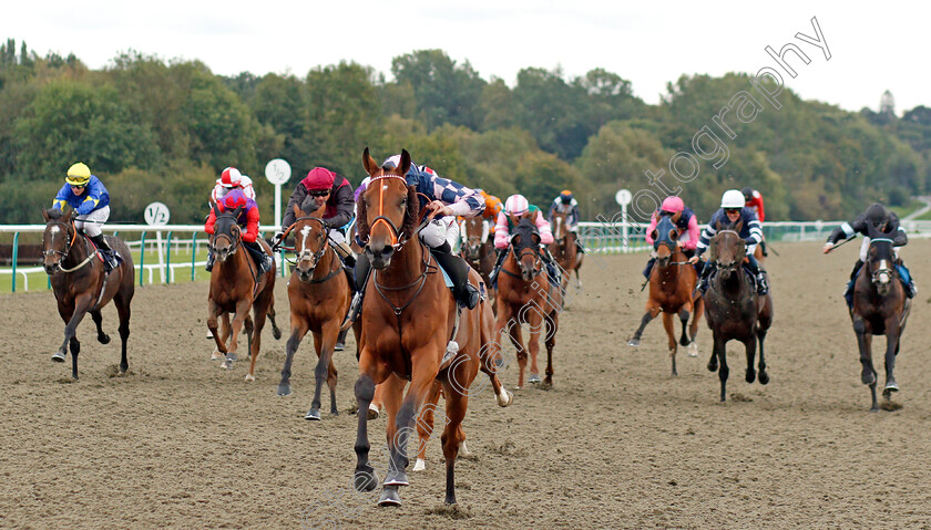 Road-To-Paris-0003 
 ROAD TO PARIS (Luke Morris) wins The First For Industry Jobs Visit Starrecruitment.bet Handicap
Lingfield 3 Oct 2019 - Pic Steven Cargill / Racingfotos.com