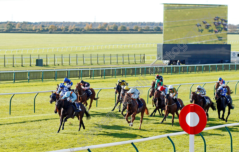 Lexington-Grace-0001 
 LEXINGTON GRACE (Sean Levey) wins The Newmarket Equine Security Nursery Newmarket 25 Oct 2017 - Pic Steven Cargill / Racingfotos.com