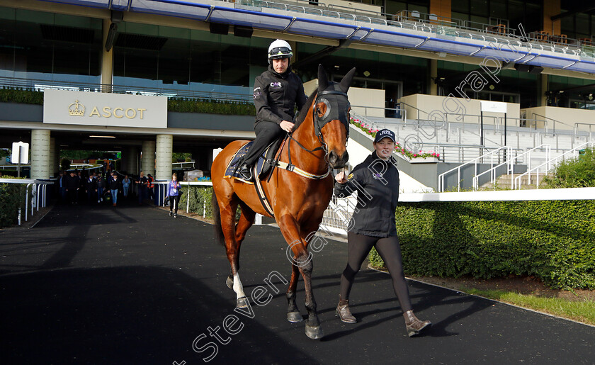 Home-Affairs-0008 
 HOME AFFAIRS - Australia to Ascot, preparing for the Royal Meeting.
Ascot 10 Jun 2022 - Pic Steven Cargill / Racingfotos.com