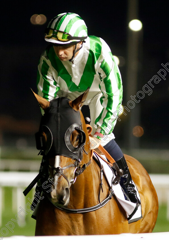 Thunder-Of-Niagara-0001 
 THUNDER OF NIAGARA (Connor Beasley)
Meydan 2 Feb 2024 - Pic Steven Cargill / Racingfotos.com