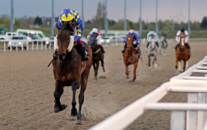 The-Bay-Warrior-0002 
 THE BAY WARRIOR (Oisin Murphy) wins The Ministry of Sound Classical 21st August Handicap
Chelmsford 29 Apr 2021 - Pic Steven Cargill / Racingfotos.com