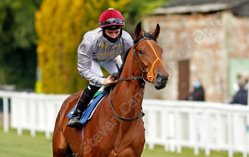 Tajdid-0002 
 TAJDID (Rossa Ryan)
Salisbury 1 Oct 2020 - Pic Steven Cargill / Racingfotos.com