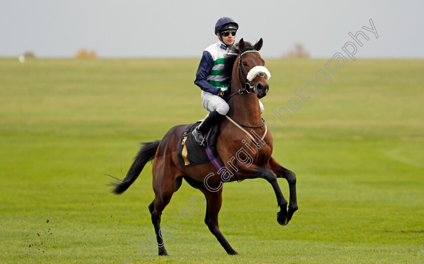 Nuvolari-0001 
 NUVOLARI (Charles Bishop)
Newmarket 29 Oct 2021 - Pic Steven Cargill / Racingfotos.com