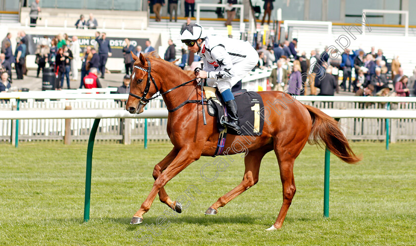 Bojink 
 BOJINK (William Buick)
Newmarket 12 Apr 2022 - Pic Steven Cargill / Racingfotos.com