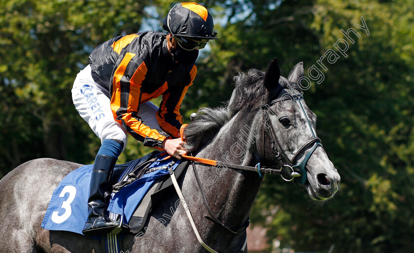 Noafence-0001 
 NOAFENCE (Joey Haynes)
Salisbury 8 Jun 2021 - Pic Steven Cargill / Racingfotos.com