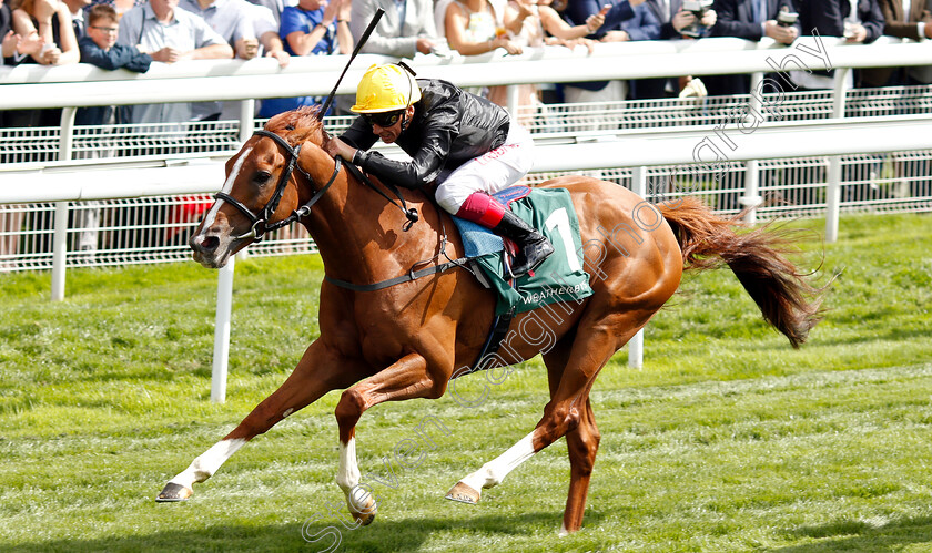 Stradivarius-0009 
 STRADIVARIUS (Frankie Dettori) wins The Weatherbys Hamilton Lonsdale Cup
York 24 Aug 2018 - Pic Steven Cargill / Racingfotos.com