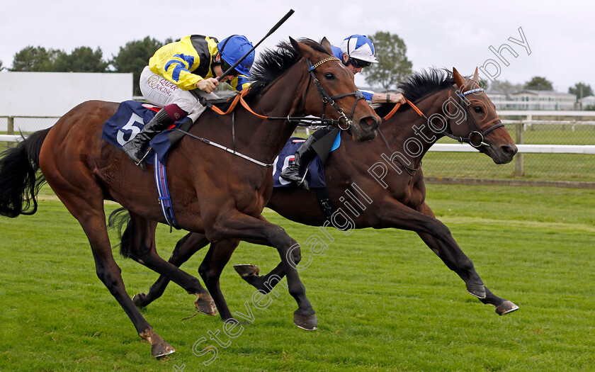 Coco-Royale-0001 
 COCO ROYALE (left, Cieren Fallon) beats LUNA EFFECT (right) in The Stream Racing At Bresbet.com Handicap
Yarmouth 16 Oct 2023 - Pic Steven Cargill / Racingfotos.com