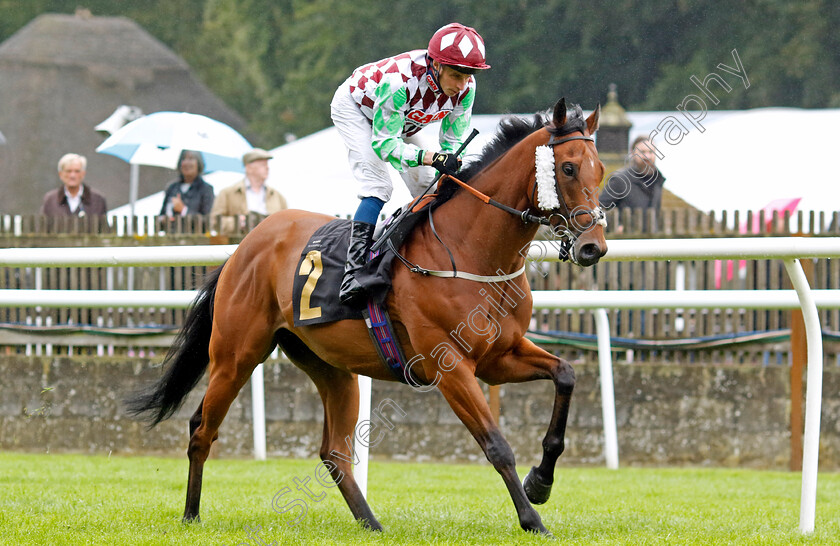 Soul-Seeker-0001 
 SOUL SEEKER (William Buick)
Newmarket 5 Aug 2023 - Pic Steven Cargill / Racingfotos.com