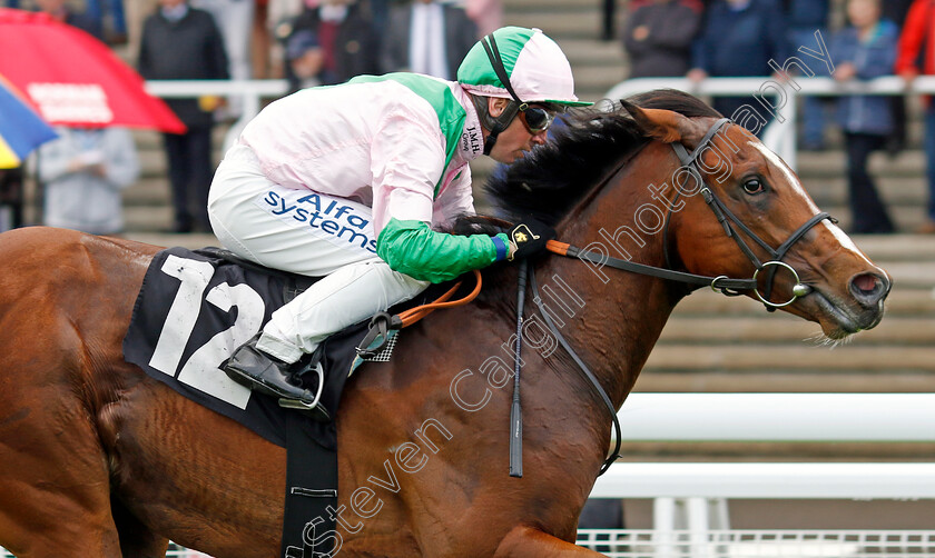 Royal-Scotsman-0008 
 ROYAL SCOTSMAN (Jim Crowley) wins The William Hill Acca Club British EBF Novice Stakes
Goodwood 20 May 2022 - Pic Steven Cargill / Racingfotos.com