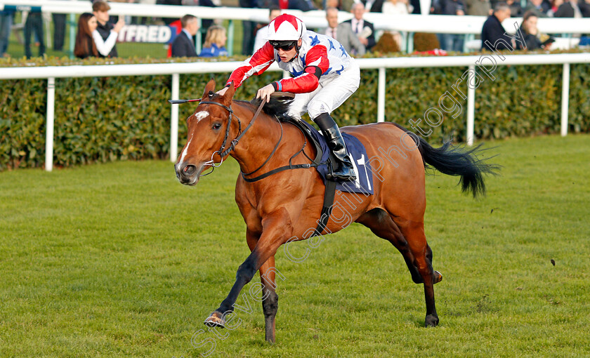 What s-The-Story-0005 
 WHAT'S THE STORY (Callum Rodriguez) wins The Betfred Home Of Goals Galore Apprentice Handicap Doncaster 11 Nov 2017 - Pic Steven Cargill / Racingfotos.com