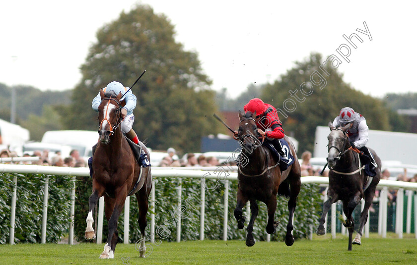 Leroy-Leroy-0002 
 LEROY LEROY (Andrea Atzeni) wins The Napoleons Casinos & Restaurants Nursery
Doncaster 15 Sep 2018 - Pic Steven Cargill / Racingfotos.com