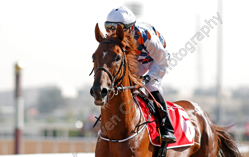 Nordic-Defense-0001 
 NORDIC DEFENSE (Per Anders Graberg) Meydan 10 Mar 2018 - Pic Steven Cargill / Racingfotos.com