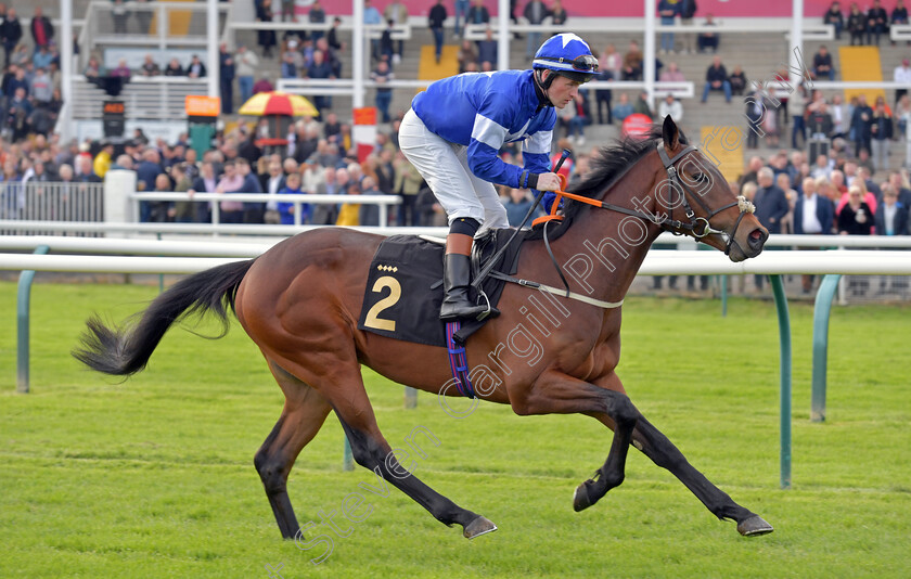 Goodeveningmrbond-0001 
 GOODEVENINGMRBOND (Dylan Hogan)
Nottingham 22 Apr 2023 - pic Steven Cargill / Becky Bailey / Racingfotos.com