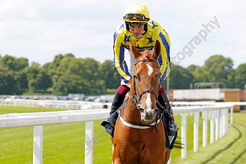 International-Girl-0002 
 INTERNATIONAL GIRL (Connor Murtagh)
York 10 Jun 2022 - Pic Steven Cargill / Racingfotos.com