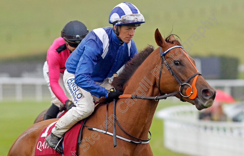 Aldaary-0001 
 ALDAARY (Jim Crowley)
Goodwood 2 Aug 2023 - Pic Steven Cargill / Racingfotos.com