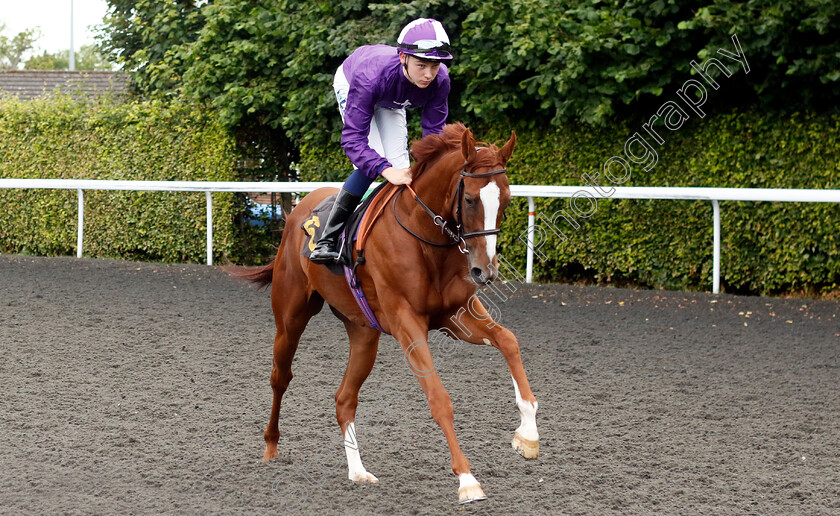 Mystical-Elegance-0001 
 MYSTICAL ELEGANCE (Billy Loughnane)
Kempton 16 Jul 2024 - Pic Steven Cargill / Racingfotos.com