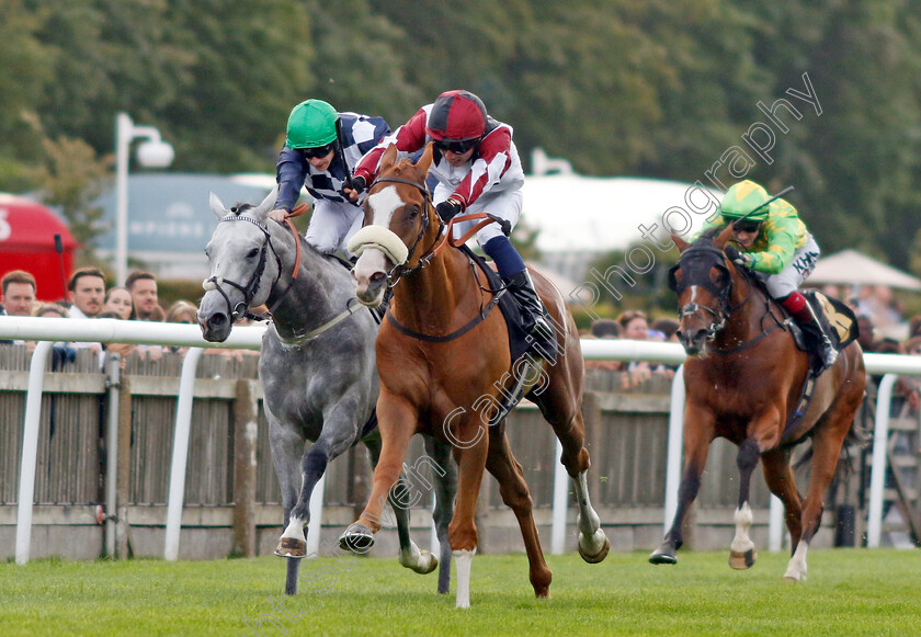 Squeezebox-0005 
 SQUEEZEBOX (Frederick Larson) beats GORDON GREY (left) in The Join Racing TV Now Handicap
Newmarket 28 Jul 2023 - Pic Steven Cargill / Racingfotos.com