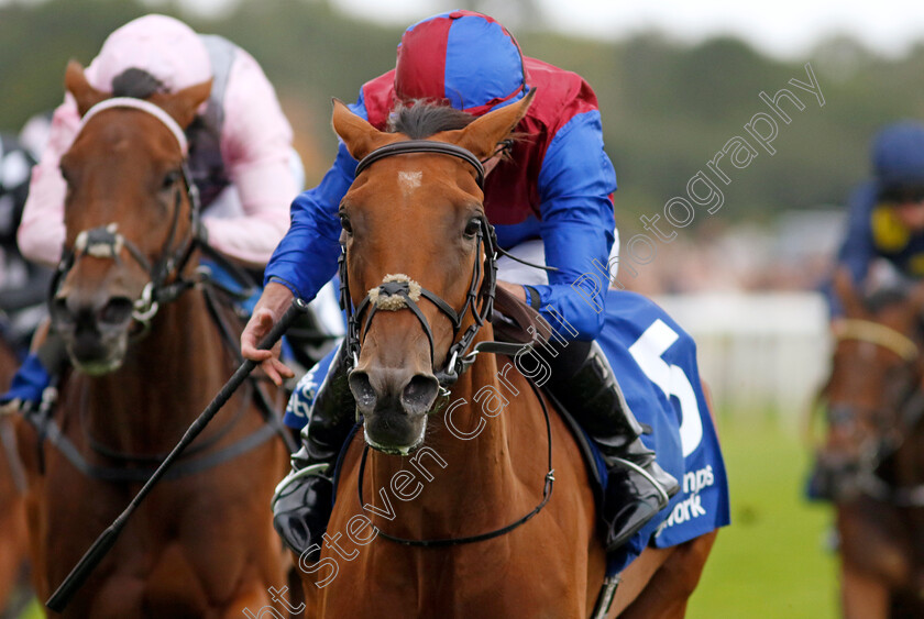 Content-0001 
 CONTENT (Ryan Moore) wins The Pertemps Network Yorkshire Oaks
York 22 Aug 2024 - Pic Steven Cargill / Racingfotos.com