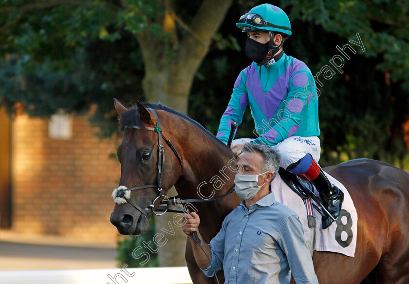 Mighty-Mind-0001 
 MIGHTY MIND (Marco Ghiani)
Kempton 18 Aug 2020 - Pic Steven Cargill / Racingfotos.com