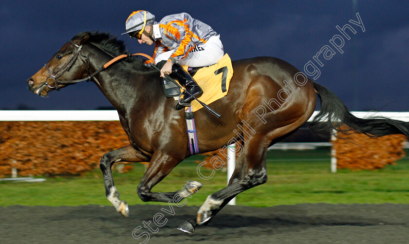 Venture-0003 
 VENTURE (Tom Marquand) wins The Bet At racingtv.com Novice Stakes
Kempton 27 Nov 2019 - Pic Steven Cargill / Racingfotos.com