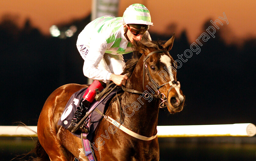 Martineo-0006 
 MARTINEO (Adam Kirby) wins The Like Sun Racing On Facebook Handicap
Wolverhampton 26 Feb 2019 - Pic Steven Cargill / Racingfotos.com