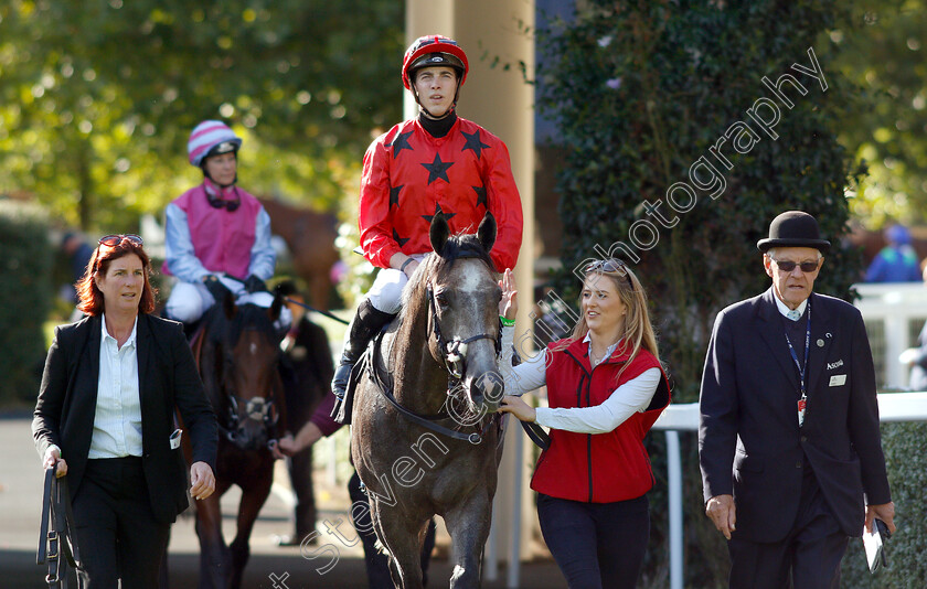 Silver-Quartz-0006 
 SILVER QUARTZ (James Doyle) after The Weatherbys Handicap
Ascot 7 Sep 2018 - Pic Steven Cargill / Racingfotos.com