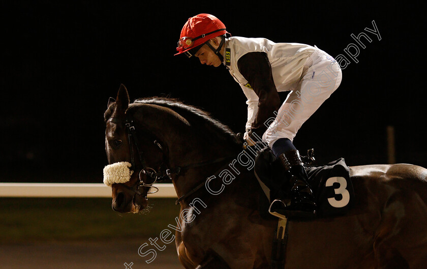 Phalaborwa-0001 
 PHALABORWA (Cameron Noble) Chelmsford 1 Dec 2017 - Pic Steven Cargill / Racingfotos.com