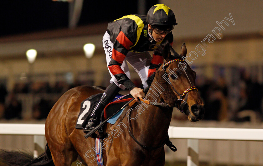 Global-Academy-0005 
 GLOBAL ACADEMY (Martin Harley) wins The Bet toteplacepot At betfred.com Nursery Chelmsford 7 Dec 2017 - Pic Steven Cargill / Racingfotos.com