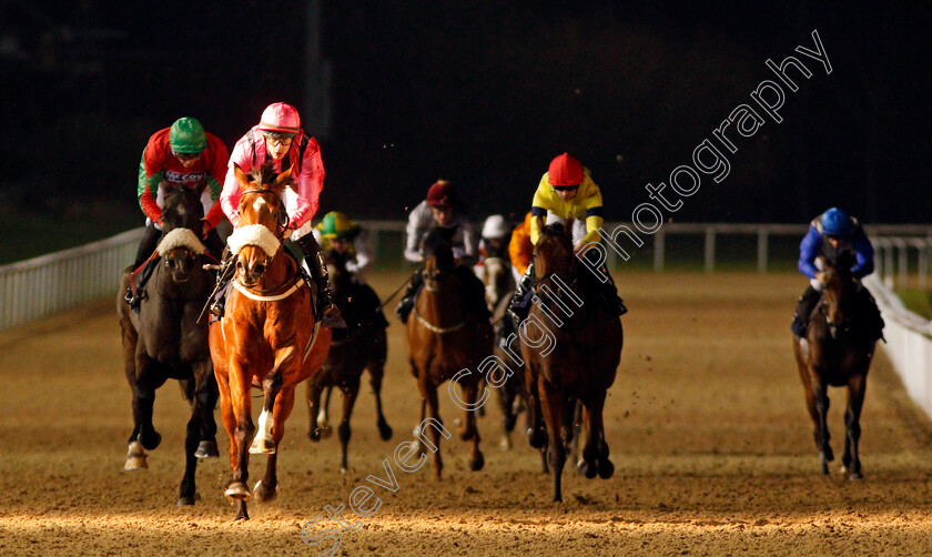 Loving-Glance-0004 
 LOVING GLANCE (Richard Kingscote) wins The Bombardier British Hopped Amber Beer Novice Stakes
Chelmsford 26 Nov 2019 - Pic Steven Cargill / Racingfotos.com