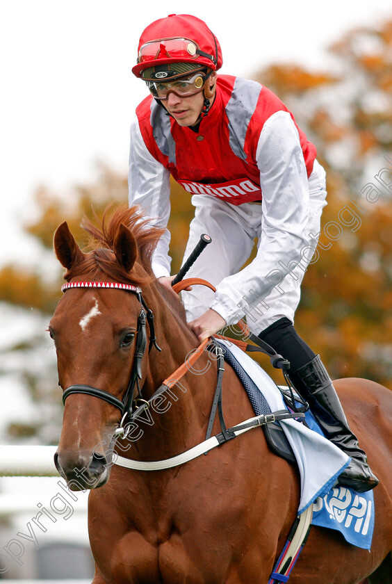 Tritonic-0001 
 TRITONIC (James Doyle)
Newmarket 12 Oct 2019 - Pic Steven Cargill / Racingfotos.com