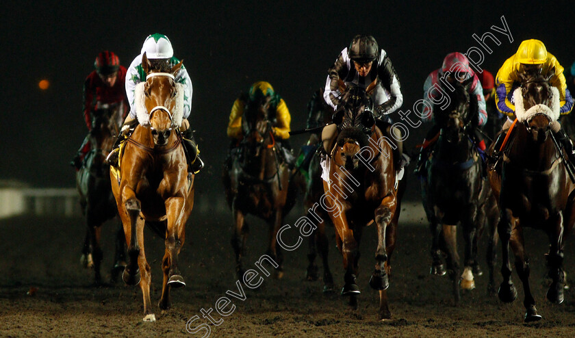 Busby-0004 
 BUSBY (left, Martin Dwyer) beats FULL INTENTION (right) and STRAWBERRY JACK (centre) in The 32Red On The App Store Handicap
Kempton 27 Nov 2019 - Pic Steven Cargill / Racingfotos.com