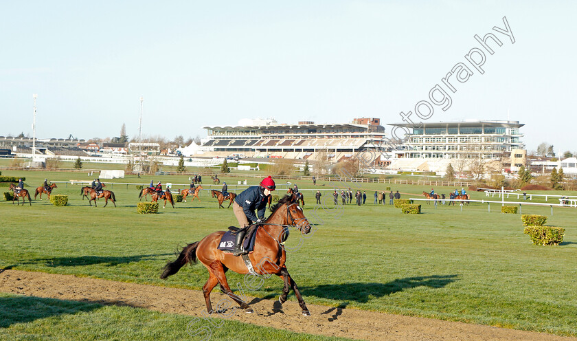 Tiger-Roll-0002 
 TIGER ROLL exercising on the eve of the Cheltenham Festival
Cheltenham 14 Mar 2022 - Pic Steven Cargill / Racingfotos.com