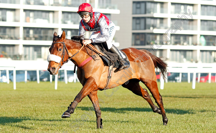 Fanion-D Estruval-0006 
 FANION D'ESTRUVAL (Charlie Deutsch) wins The Ladbrokes Novices Handicap Chase
Newbury 29 Nov 2019 - Pic Steven Cargill / Racingfotos.com