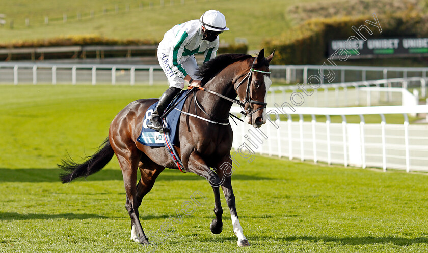 Tomorrow s-Dream-0001 
 TOMORROW'S DREAM (Tom Marquand)
Goodwood 11 Oct 2020 - Pic Steven Cargill / Racingfotos.com