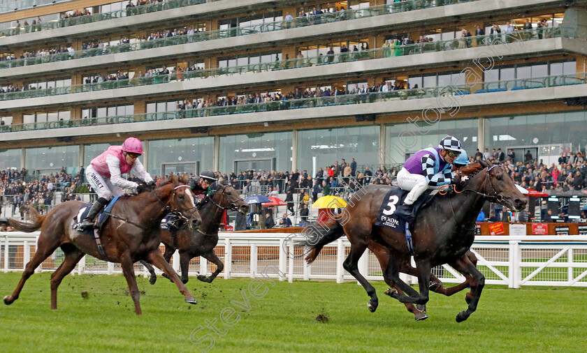 El-Habeeb-0003 
 EL HABEEB (Andrea Atzeni) wins The Peroni Nastro Azzurro Noel Murless Stakes
Ascot 30 Sep 2022 - Pic Steven Cargill / Racingfotos.com