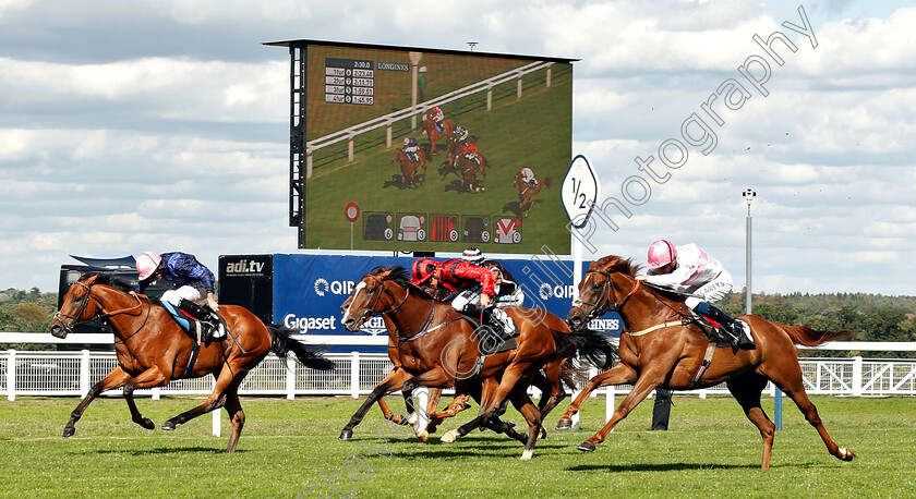 What-A-Welcome-0001 
 WHAT A WELCOME (right, Joey Haynes) beats YOU'RE HIRED (left) and BARTHOLOMEU DIAS (right) in The Victoria Racing Club Handicap
Ascot 7 Sep 2018 - Pic Steven Cargill / Racingfotos.com