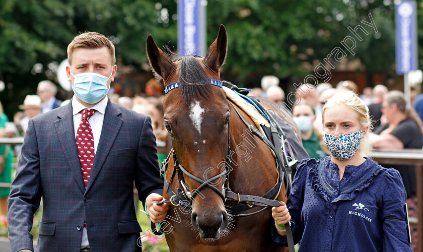 Cachet-0002 
 CACHET
Newmarket 26 Jun 2021 - Pic Steven Cargill / Racingfotos.com