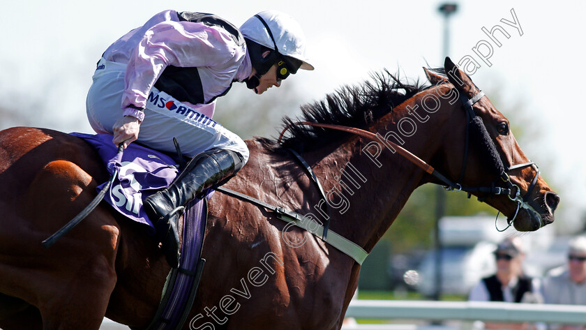 Traffic-Fluide-0006 
 TRAFFIC FLUIDE (Joshua Moore) wins The Barchester Healthcare Silver Trophy Chase Cheltenham 18 Apr 2018 - Pic Steven Cargill / Racingfotos.com