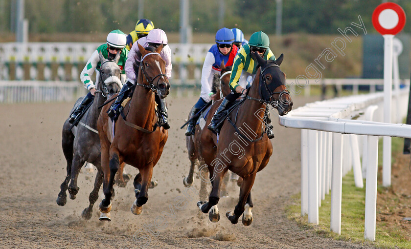 Bellarisa-and-Arctic-Victory-0001 
 BELLARISA (right, Jack Mitchell) with ARCTIC VICTORY (left, Ben Curtis)
Chelmsford 22 Aug 2020 - Pic Steven Cargill / Racingfotos.com