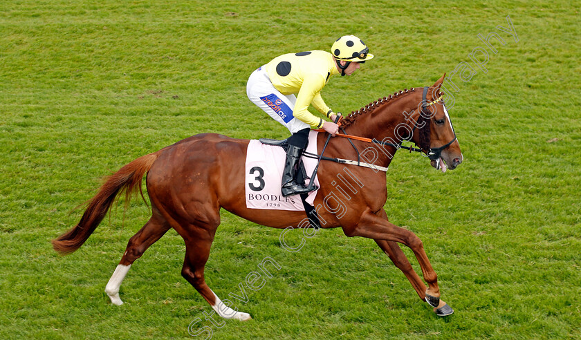 Golden-West-0002 
 GOLDEN WEST (Clifford Lee)
Chester 8 May 2024 - Pic Steven Cargill / Racingfotos.com