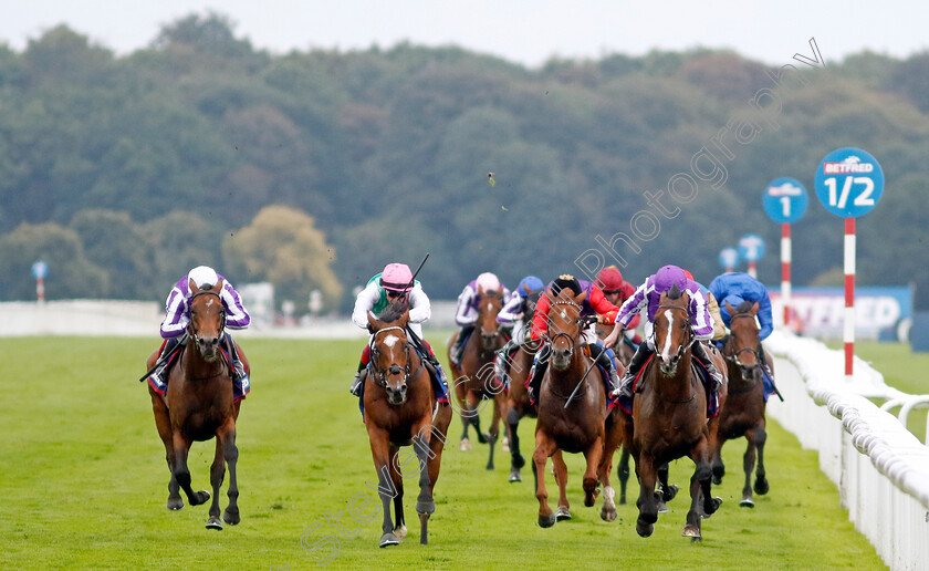 Continuous-0007 
 CONTINUOUS (Ryan Moore) beats ARREST (2nd left) in The Betfred St Leger Stakes
Doncaster 16 Sep 2023 - Pic Steven Cargill / Racingfotos.com