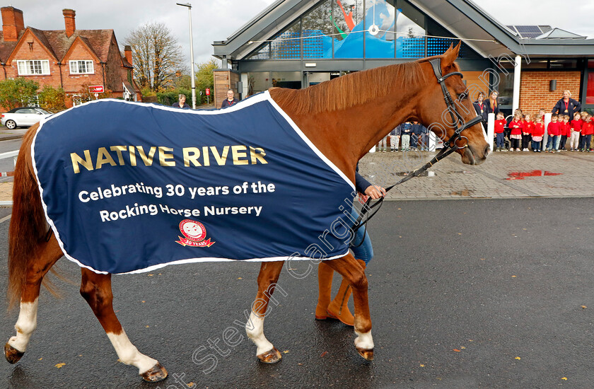 Native-River-0011 
 NATIVE RIVER at the Rocking Horse Nursery
Newbury 15 Nov 2022 - Pic Steven Cargill