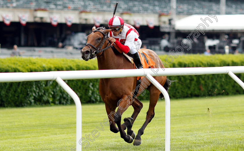 Catch-A-Bid-0003 
 CATCH A BID (Javier Castellano) wins Maiden
Belmont Park USA 6 Jun 2019 - Pic Steven Cargill / Racingfotos.com