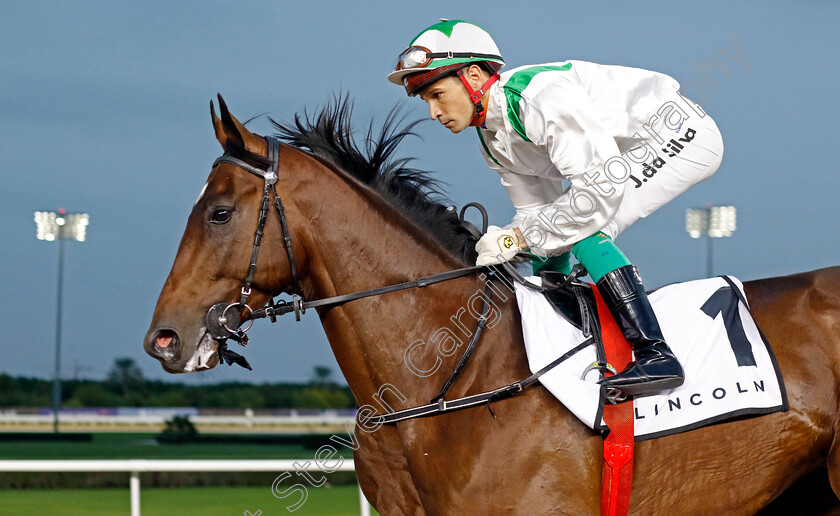 Shababy-0001 
 SHABABY (Jose da Silva)
Meydan 2 Feb 2024 - Pic Steven Cargill / Racingfotos.com