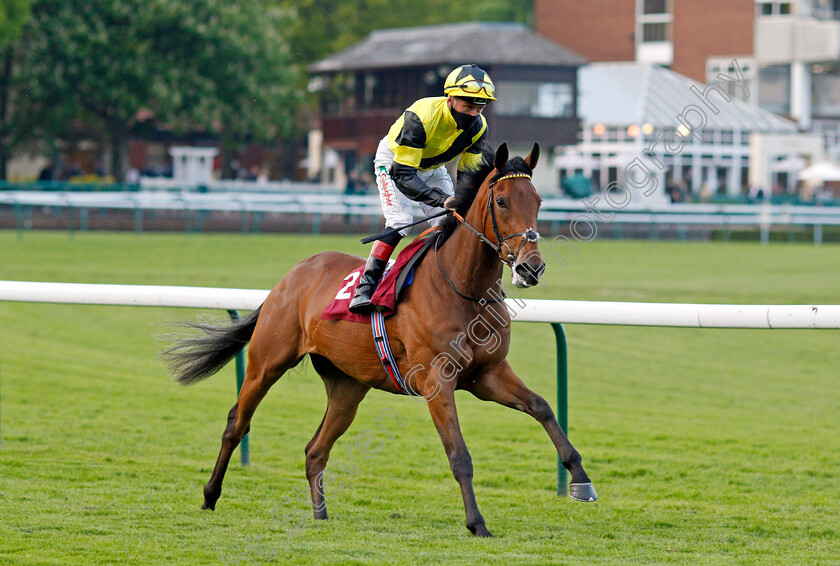 Percy s-Pride-0002 
 PERCY'S PRIDE (Shane Kelly)
Haydock 28 May 2021 - Pic Steven Cargill / Racingfotos.com