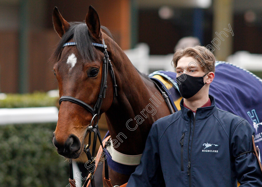 Restitution-0001 
 RESTITUTION (Tom Cannon)
Ascot 22 Jan 2022 - Pic Steven Cargill / Racingfotos.com