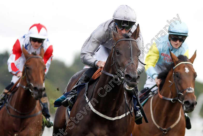 Commanding-Officer-0006 
 COMMANDING OFFICER (Daniel Tudhope) wins The British Stallion Studs EBF Convivial Maiden Stakes
York 24 Aug 2018 - Pic Steven Cargill / Racingfotos.com