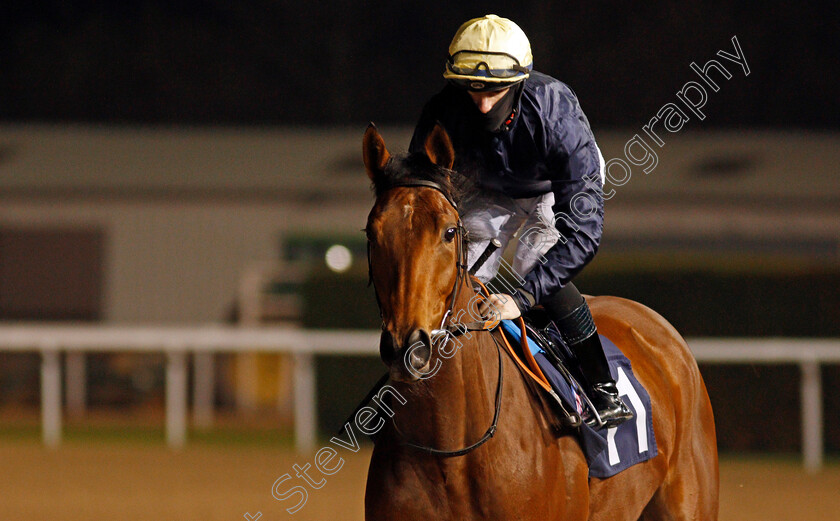 Zikany-0001 
 ZIKANY (Richard Kingscote)
Wolverhampton 5 Dec 2020 - Pic Steven Cargill / Racingfotos.com